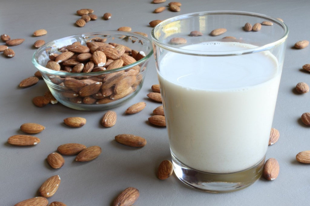 6 Best Milk Alternatives