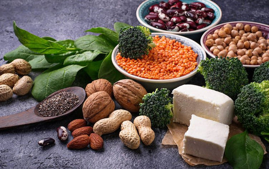 Best Vegan Protein Sources for Beginners & Bodybuilders